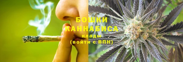 амф Нея