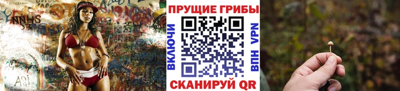 Галлюциногенные грибы Magic Shrooms  Купить где  Дубна 